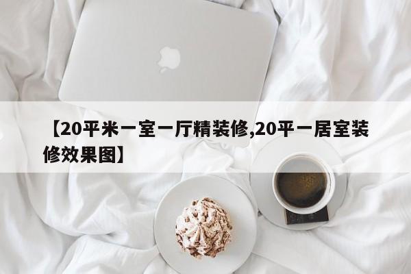 【20平米一室一厅精装修,20平一居室装修效果图】