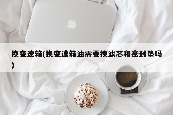 换变速箱(换变速箱油需要换滤芯和密封垫吗)