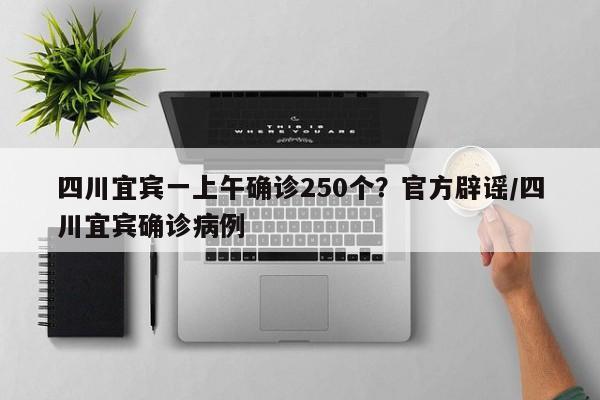四川宜宾一上午确诊250个？官方辟谣/四川宜宾确诊病例