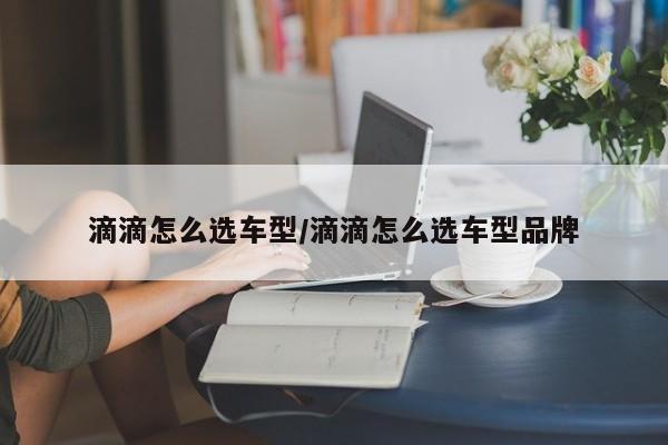 滴滴怎么选车型/滴滴怎么选车型品牌