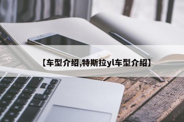 【车型介绍,特斯拉yl车型介绍】