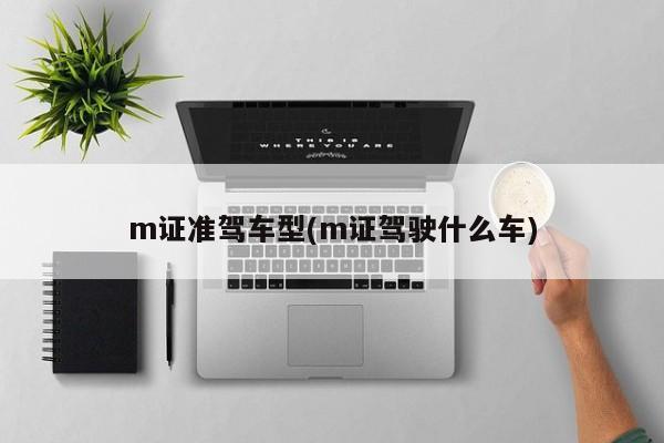 m证准驾车型(m证驾驶什么车)