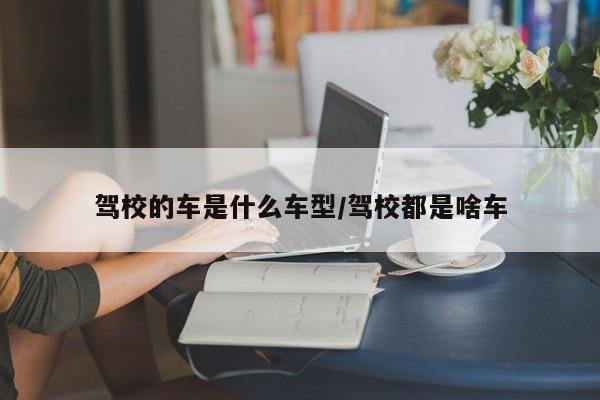 驾校的车是什么车型/驾校都是啥车