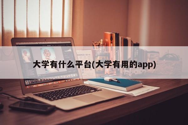 大学有什么平台(大学有用的app)
