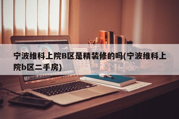 宁波维科上院B区是精装修的吗(宁波维科上院b区二手房)
