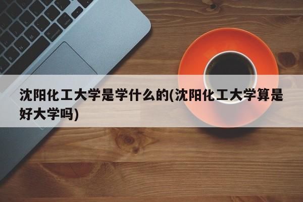 沈阳化工大学是学什么的(沈阳化工大学算是好大学吗)