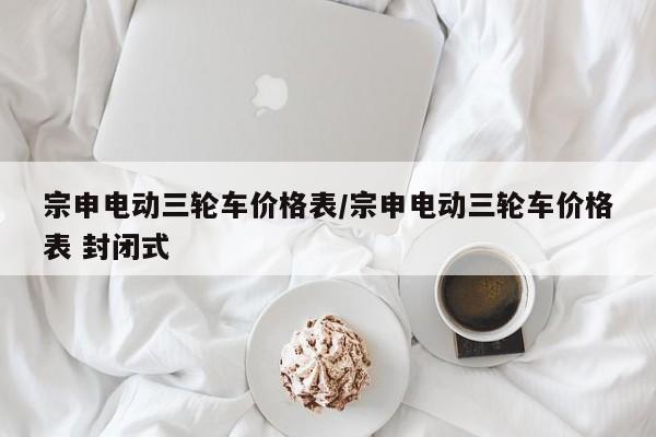 宗申电动三轮车价格表/宗申电动三轮车价格表 封闭式