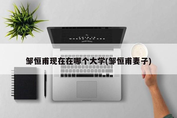 邹恒甫现在在哪个大学(邹恒甫妻子)
