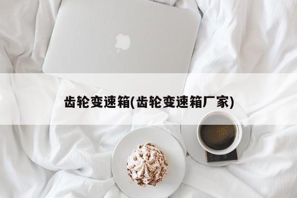 齿轮变速箱(齿轮变速箱厂家)
