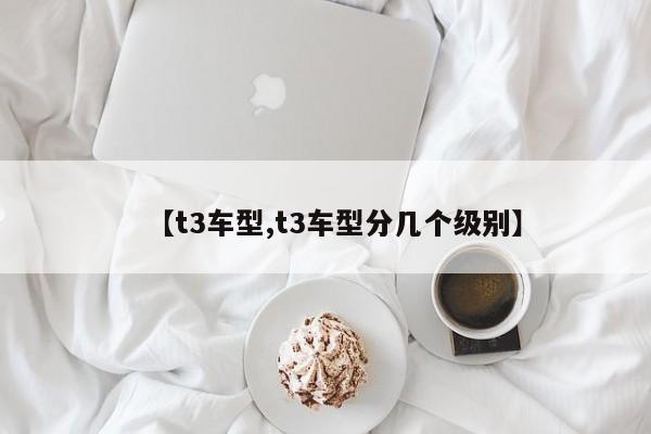 【t3车型,t3车型分几个级别】