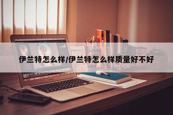 伊兰特怎么样/伊兰特怎么样质量好不好