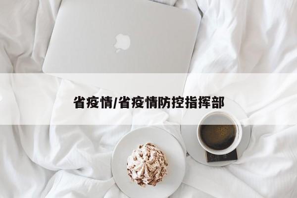 省疫情/省疫情防控指挥部