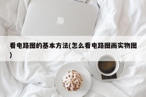 看电路图的基本方法(怎么看电路图画实物图)