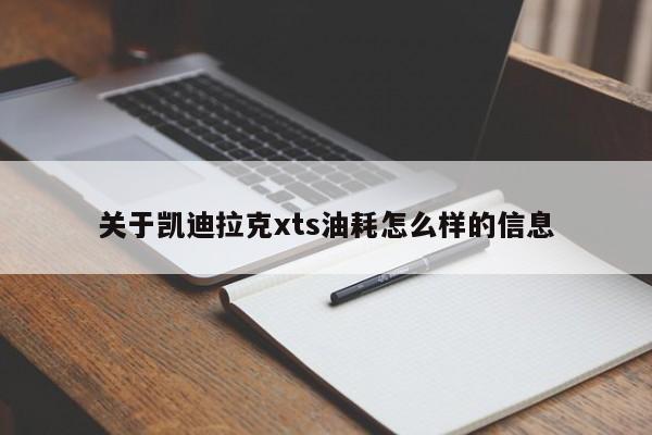 关于凯迪拉克xts油耗怎么样的信息
