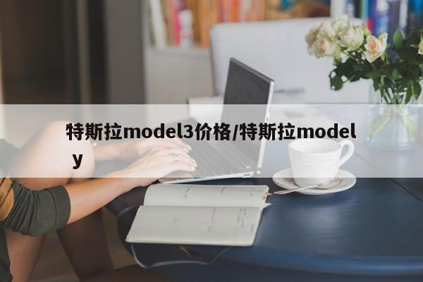 特斯拉model3价格/特斯拉model y