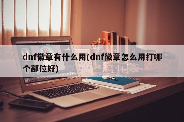 dnf徽章有什么用(dnf徽章怎么用打哪个部位好)