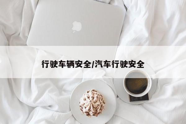 行驶车辆安全/汽车行驶安全